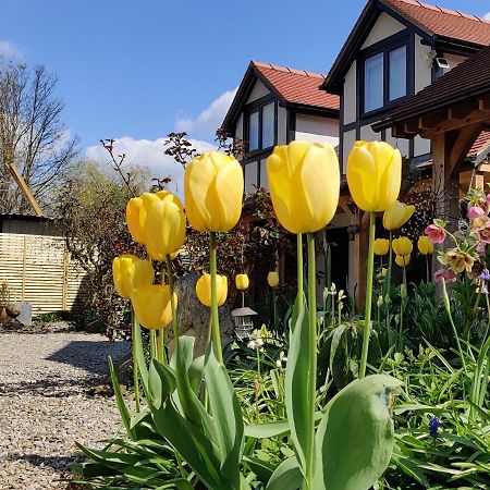Delightful & Picturesque Modern Detached Apartment, Next To Chester Zoo, Near Park And Ride To City Centre 외부 사진