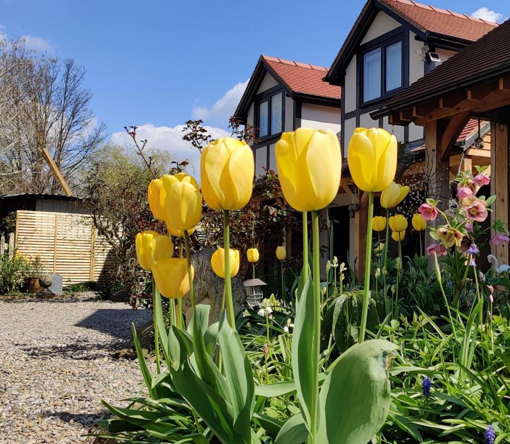 Delightful & Picturesque Modern Detached Apartment, Next To Chester Zoo, Near Park And Ride To City Centre 외부 사진